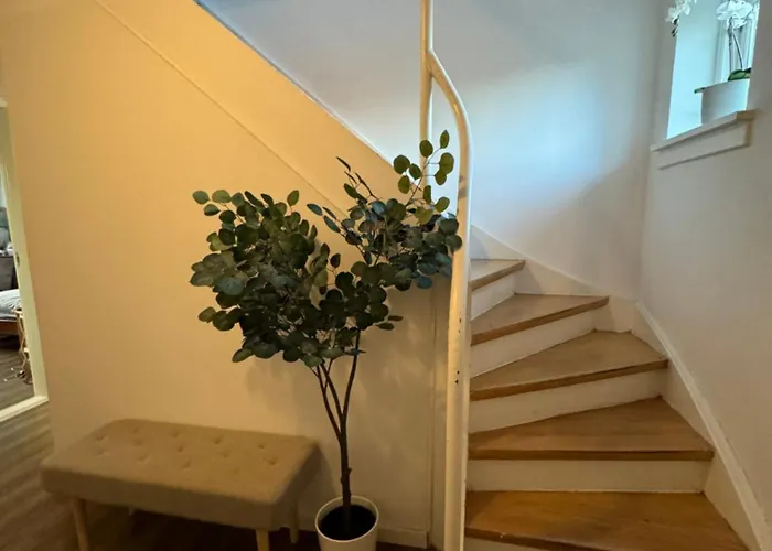 홈스테이 Casa De Rainer 7